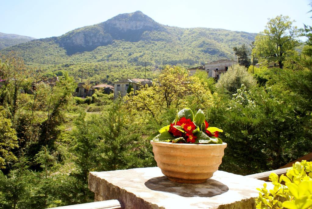 Gamila Rocks Mountain Hotel Aristi Bagian luar foto